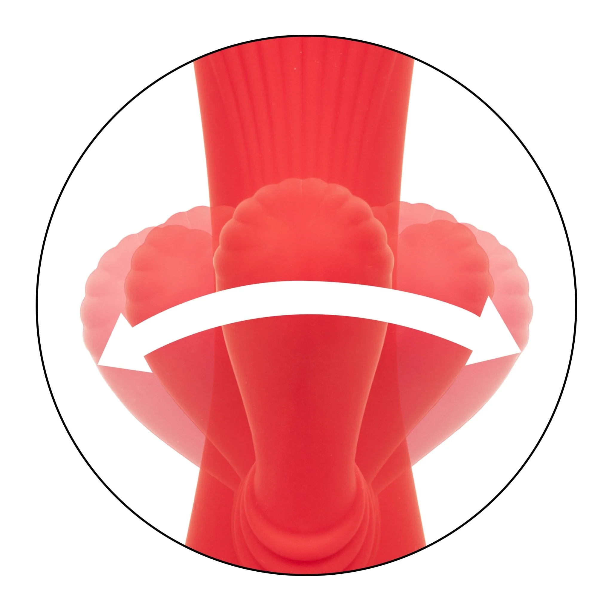 California Dreaming Palisades Passion - Image 6